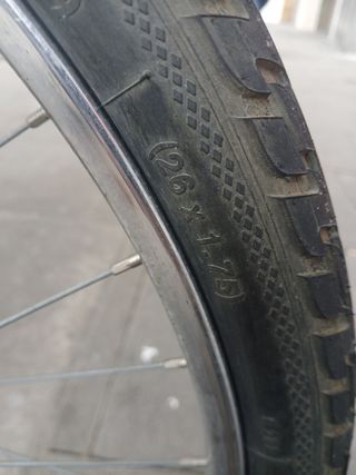 Bicicleta BH Energy Montaña Azul