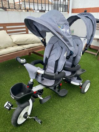 Bicicleta gemelar gris