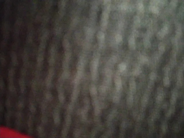 Se necesita Camarero