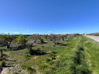 Terreno en venta en Sueca ciudad en Sueca