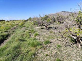 Terreno en venta en Sueca ciudad en Sueca