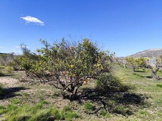 Terreno en venta en Sueca ciudad en Sueca