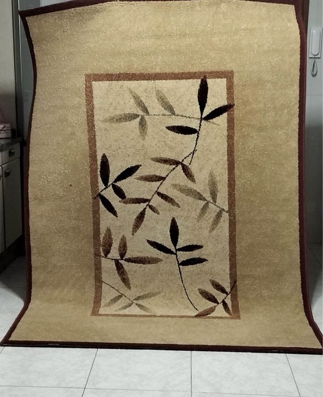 Alfombra Beige y Marrón 2,30x1,60