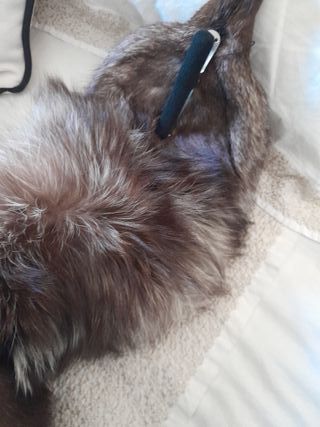 Cuello de abrigo de piel