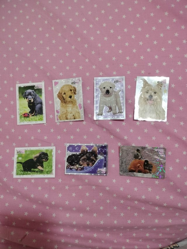 Pegatinas Puppies&me