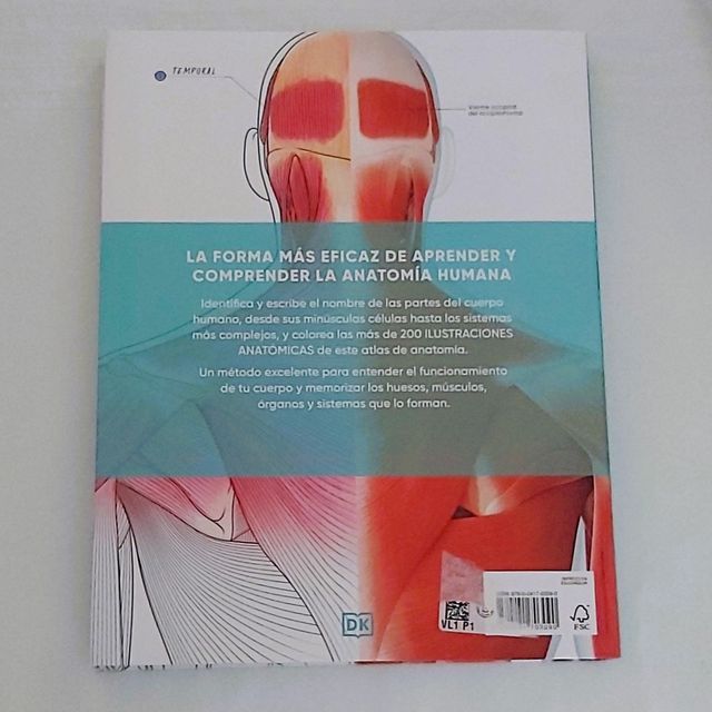 Atlas de anatomía para colorear: Guía de estudio