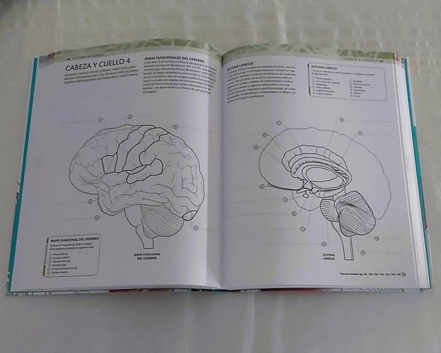 Atlas de anatomía para colorear: Guía de estudio
