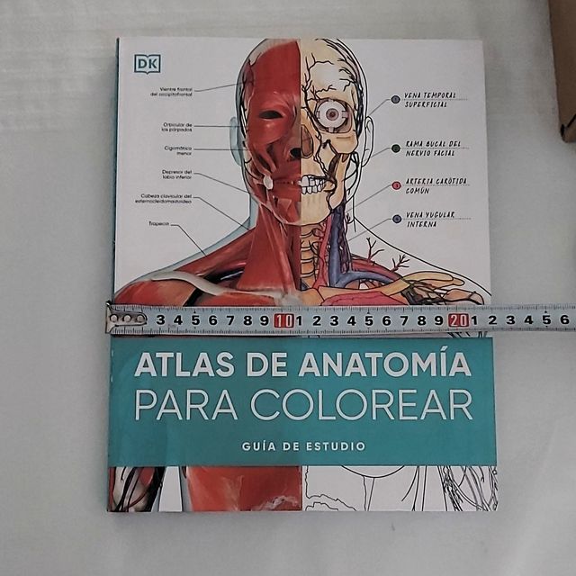 Atlas de anatomía para colorear: Guía de estudio