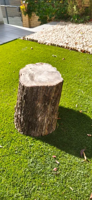 Mesa tronco madera jardín