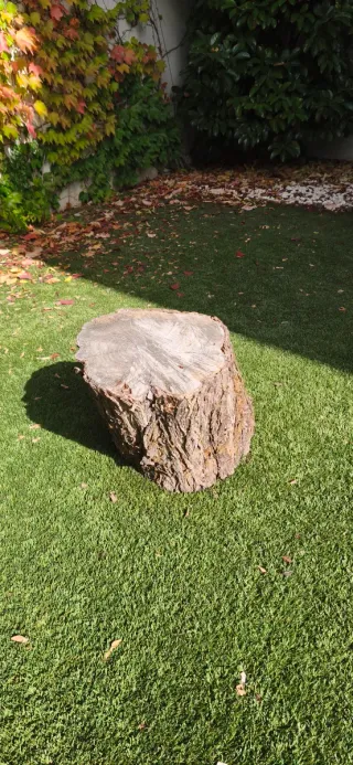 Mesa tronco madera jardín