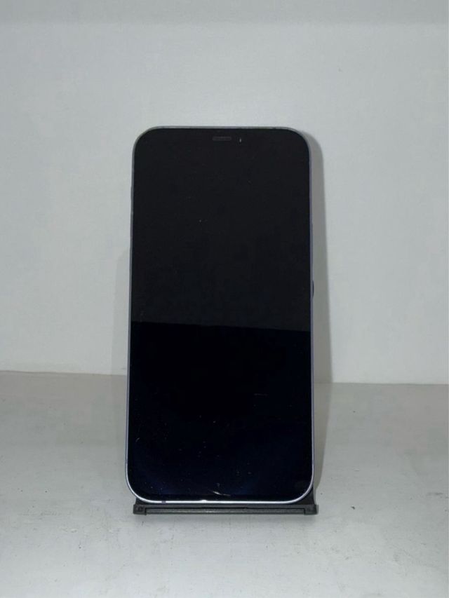 iPhone 12 Rigenerato Viola