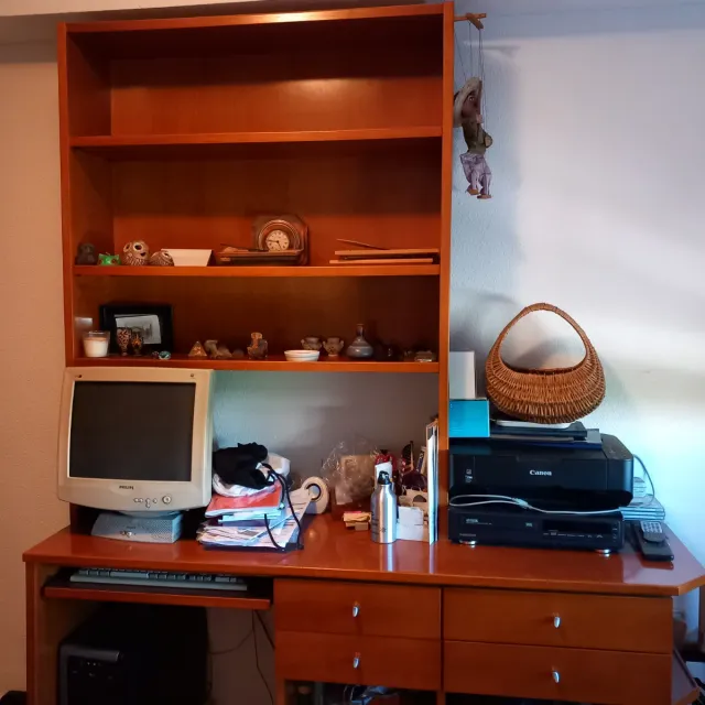 Librería y escritorio de madera