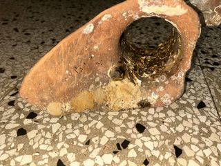 Antica anfora in terracotta