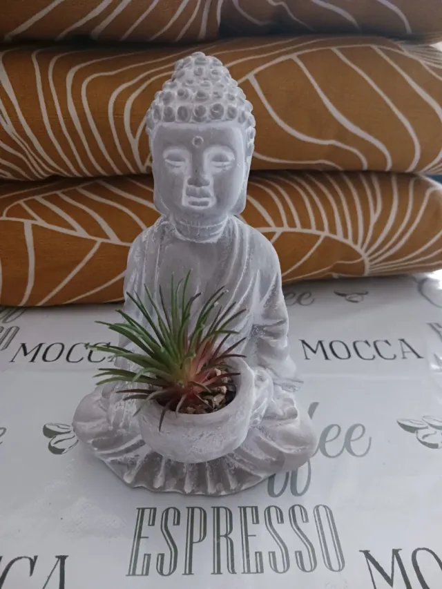 Figura Buda con planta pequeña