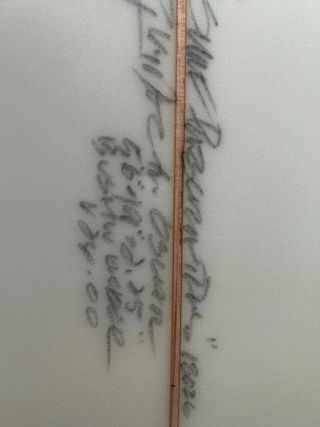 Tabla de Surf  Jeff Doc, modelo  BushWacker