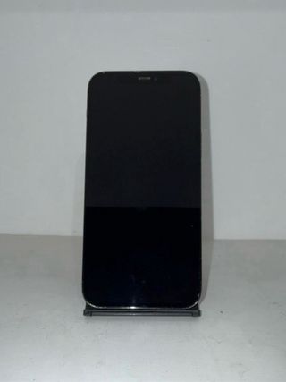 iPhone 12 Pro Rigenerato Blu