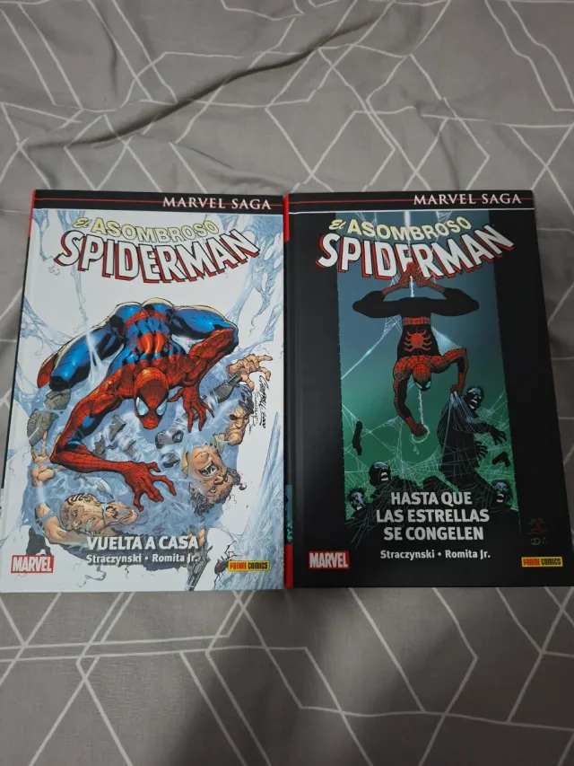 El Asombroso Spiderman 01: Vuelta a casa