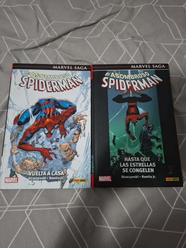 El Asombroso Spiderman 01: Vuelta a casa