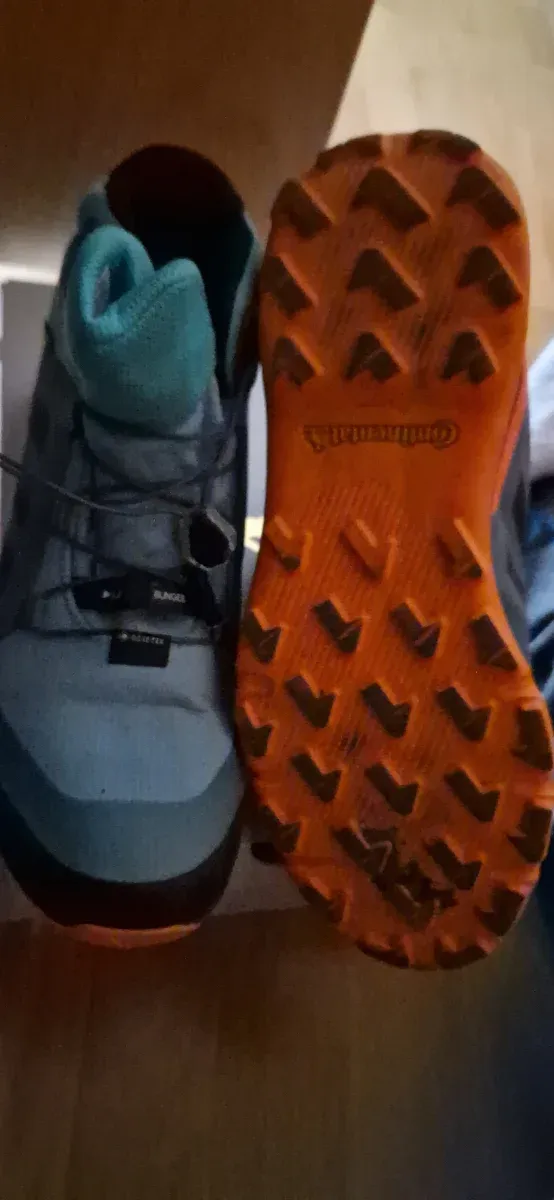 Adidas Terrex Botas goretex