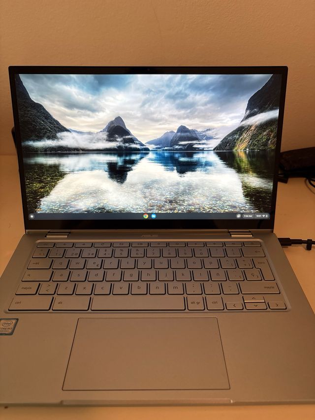 Chromebook Asus C433T Plata