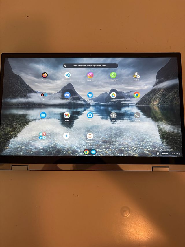 Chromebook Asus C433T Plata