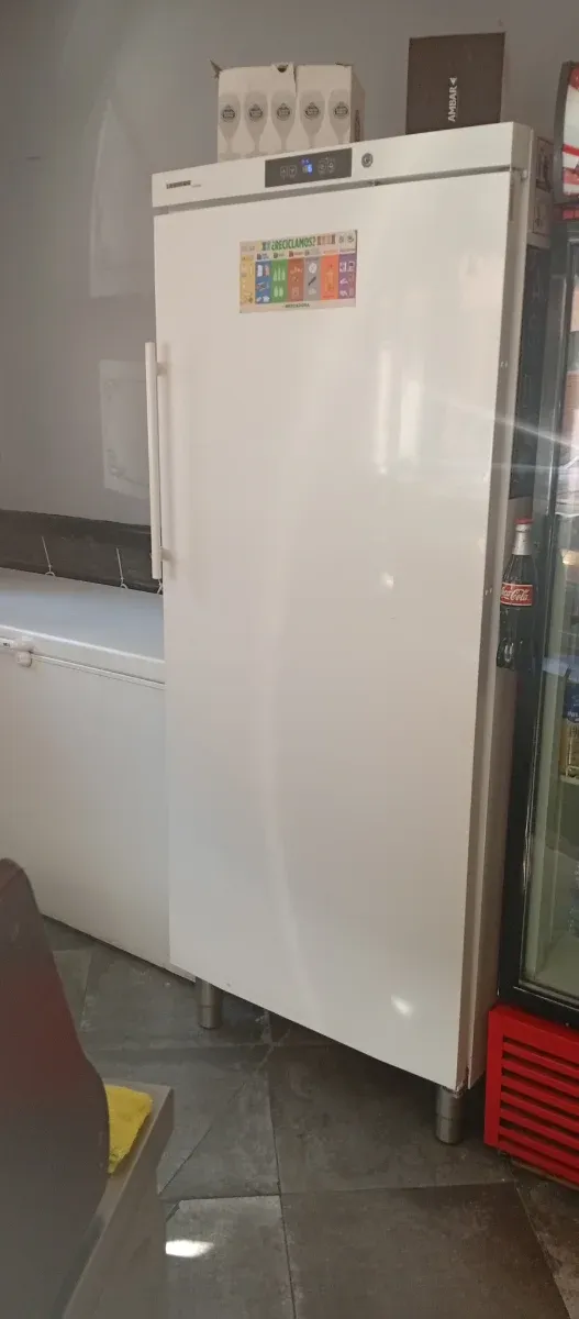 Nevera industrial alta