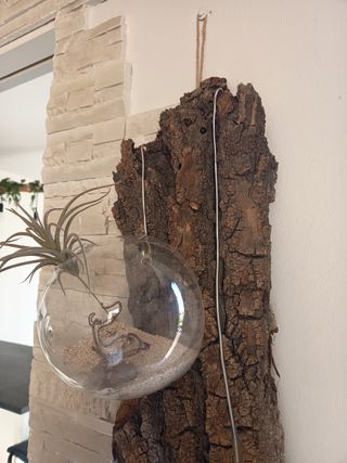 Decorazione Legno e Vetro con Piante
