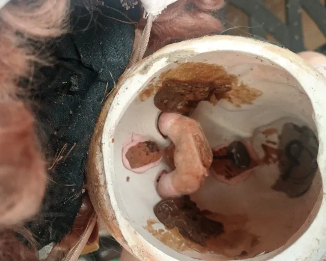 Muñeca antigua de porcelana