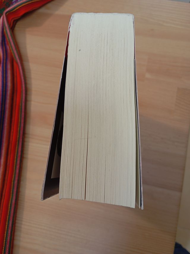 La chica que soñaba con un cerillo y un galon d...