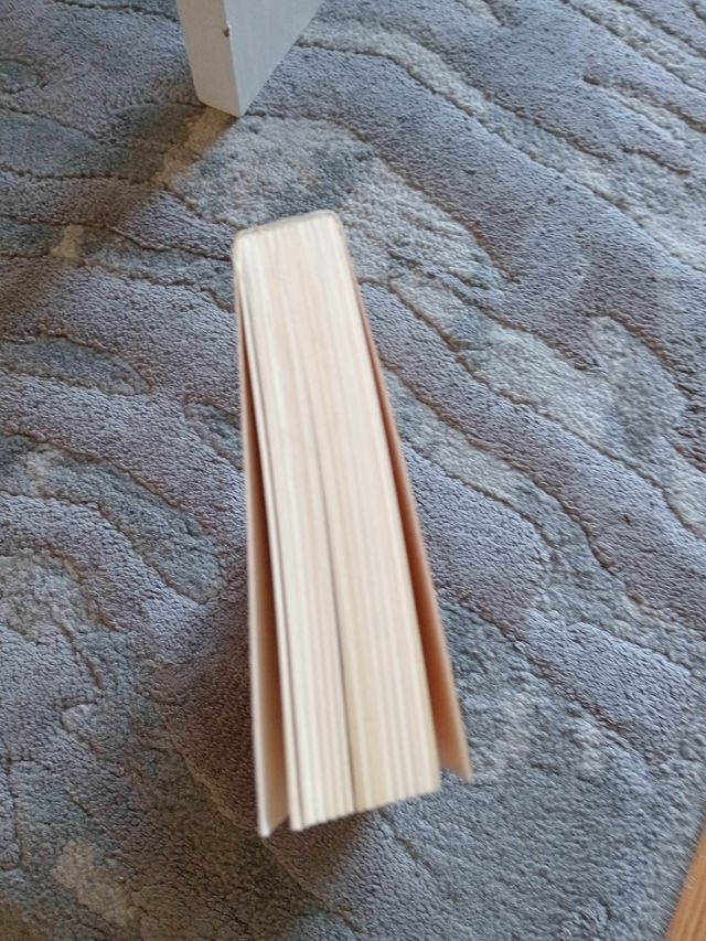 El diario de los viajes