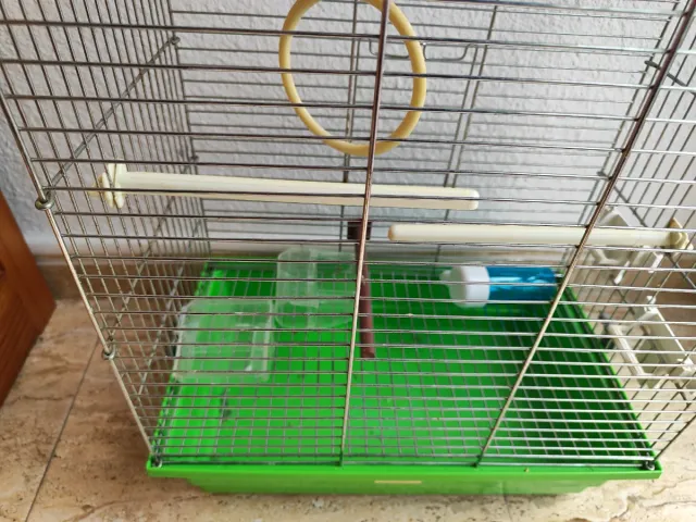 Jaula para pájaros plateada y verde