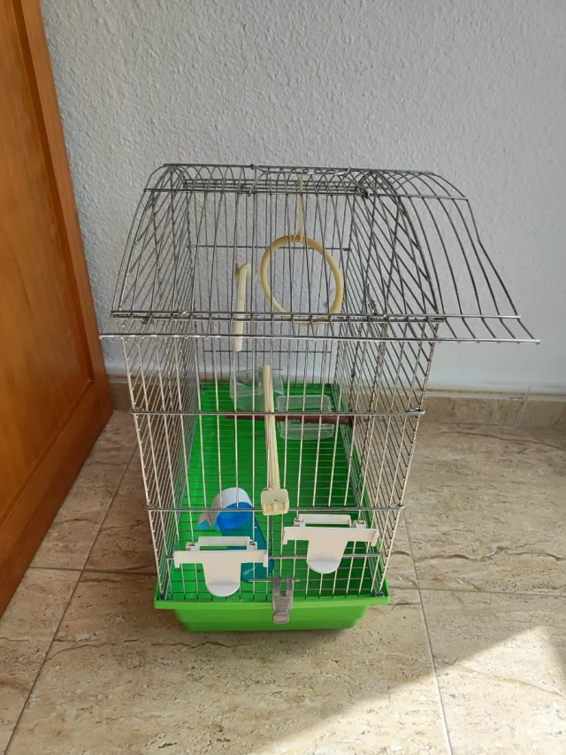Jaula para pájaros plateada y verde