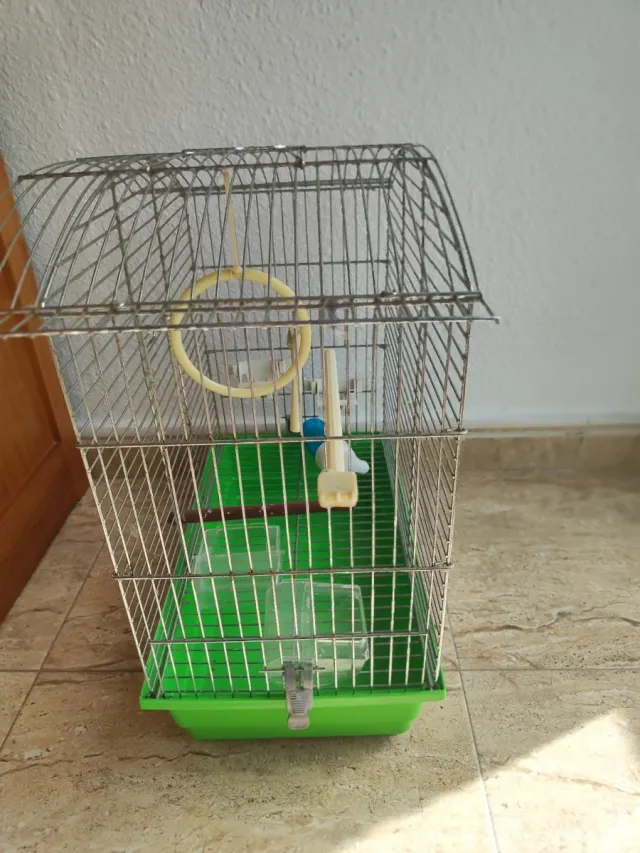 Jaula para pájaros plateada y verde