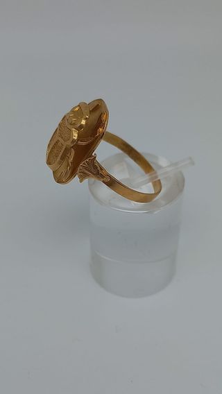 J-0774 Anillo Escarabajo Egipcio Oro 18K