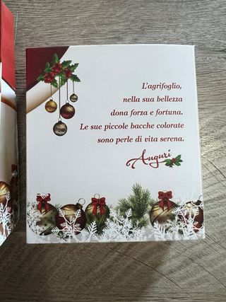 Bagutta Agrifoglio Natalizio Decorazione