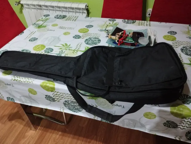 Funda de guitarra negra