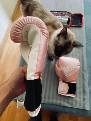 Guantes Boxeo Rosa Metal Box 10 oz