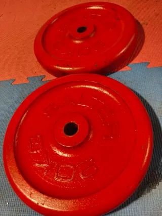 DISCOS PESAS SARTER 40KG DIAMETRO 30MM