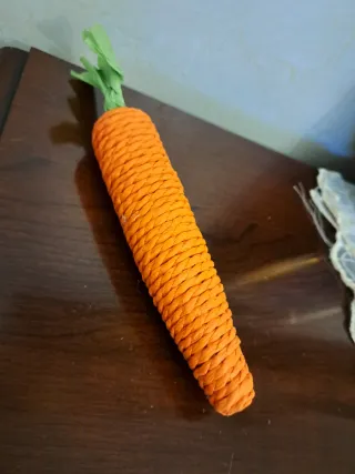 Carota tiragraffi gioco per gatti