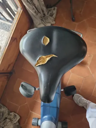 Bicicleta Estática Fitness