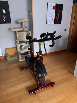 Bicicleta Indoor spinning LK700IC 22K