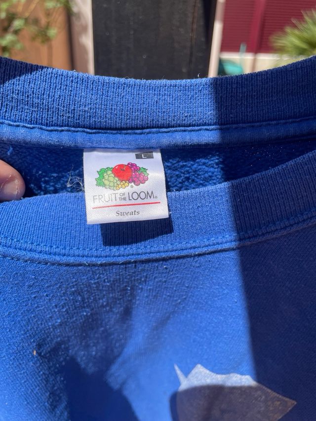 Sudadera Fruit of the Loom Azul