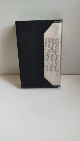 Cassetta Sapore di Mare 2 - Un Anno Dopo