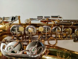 Sax contralto Ida Maria Grassi Professional