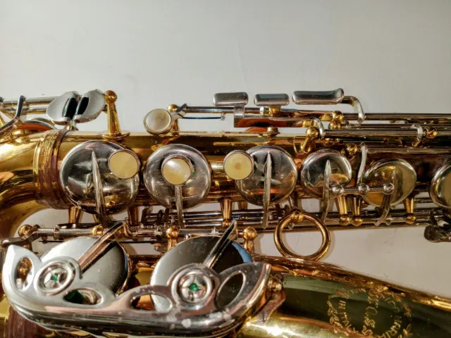 Sax contralto Ida Maria Grassi Professional