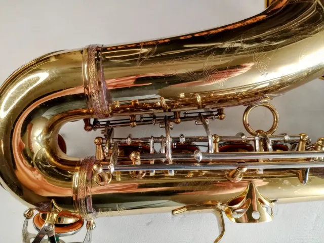 Sax contralto Ida Maria Grassi Professional