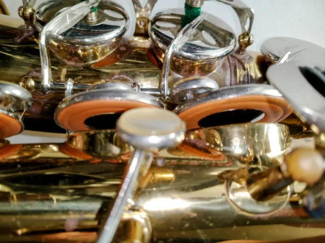 Sax contralto Ida Maria Grassi Professional