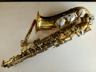 Sax contralto Ida Maria Grassi Professional