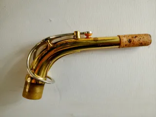 Sax contralto Ida Maria Grassi Professional