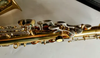 Sax contralto Ida Maria Grassi Professional